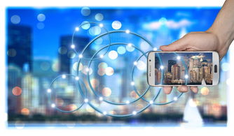 米兰全站app登录app-中国篮球职业俱乐部财务风险管理策略研究，篮球俱乐部运营情况